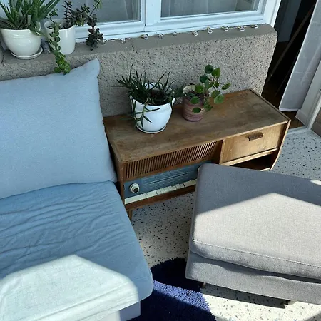 公寓 The Big Blue *