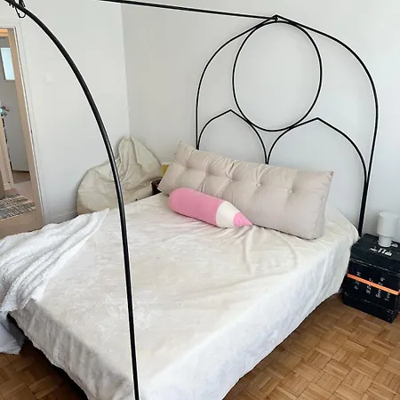 The Big Blue Daire Varna